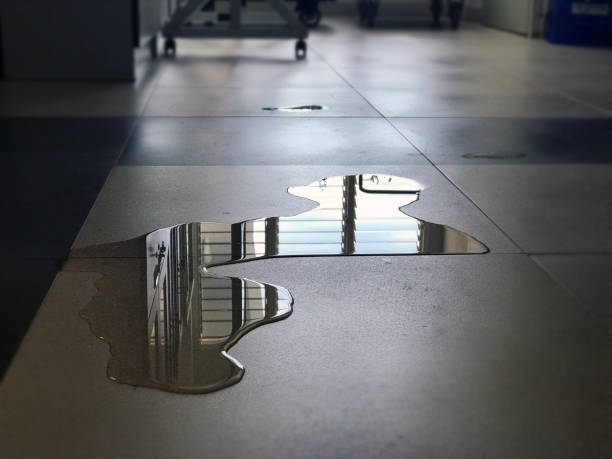 Best Professional water damage repair  in Cave Spring, VA